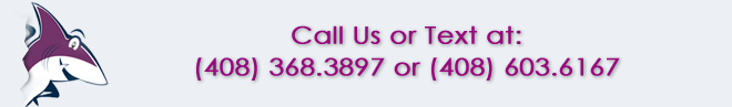 banner-calltextus